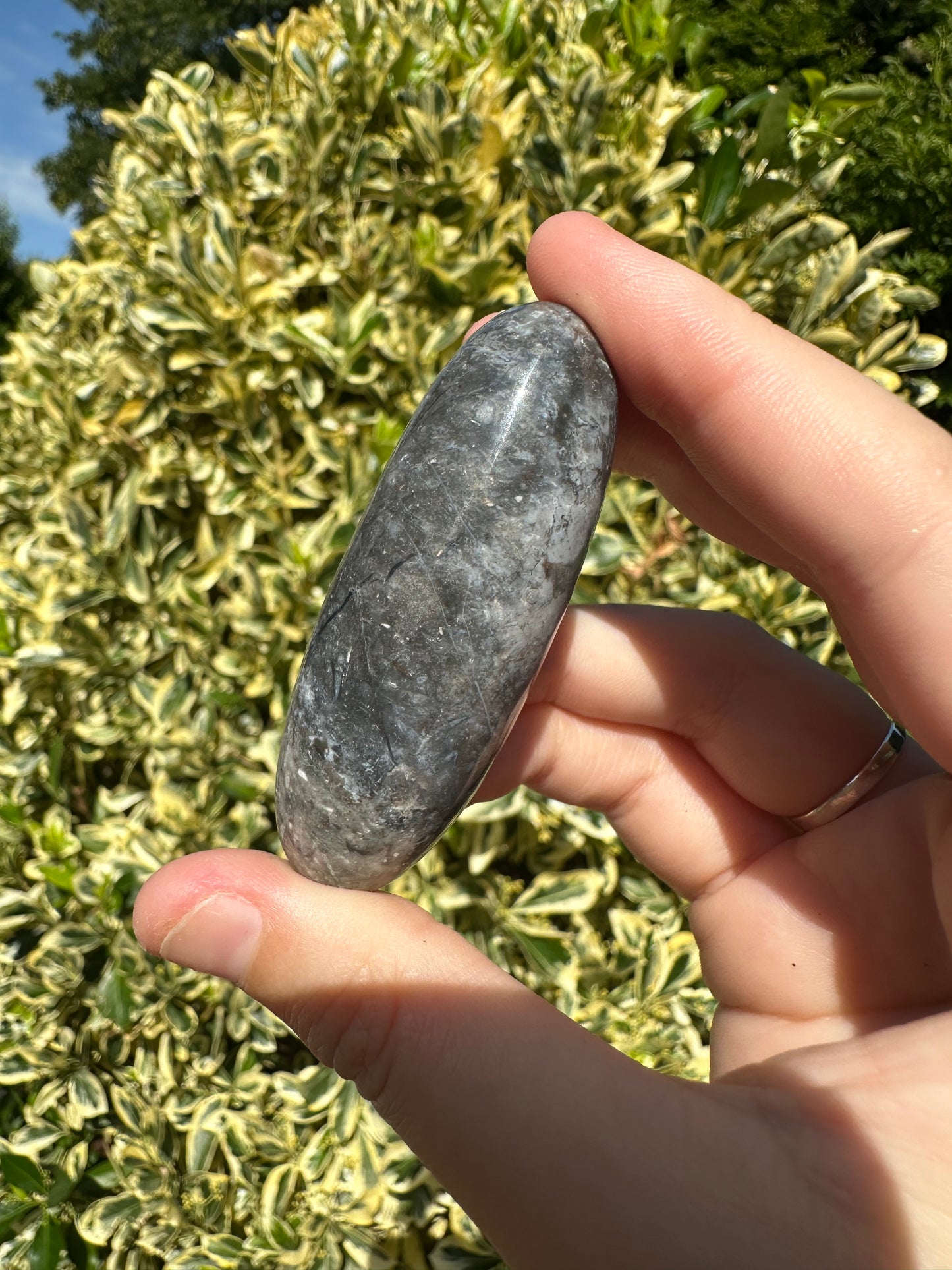 Blue Plume Agate Shivas