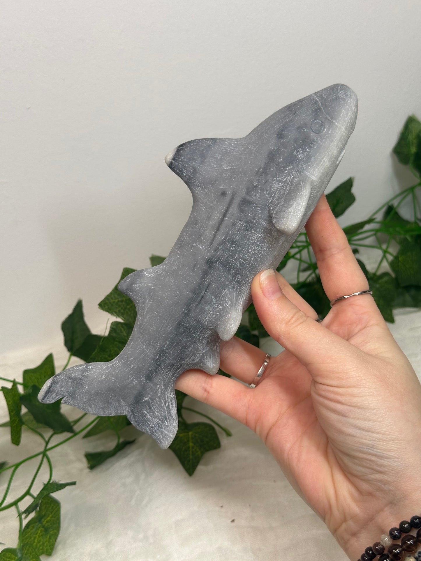 Taiji Jade Shark