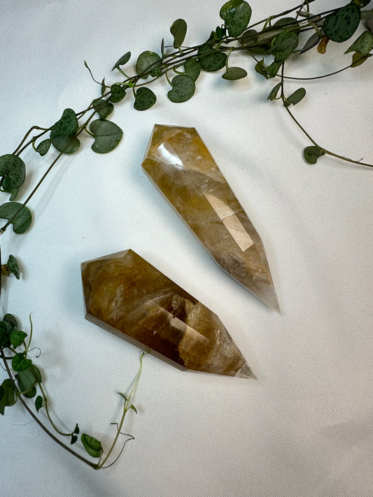 Golden Healer Vogels