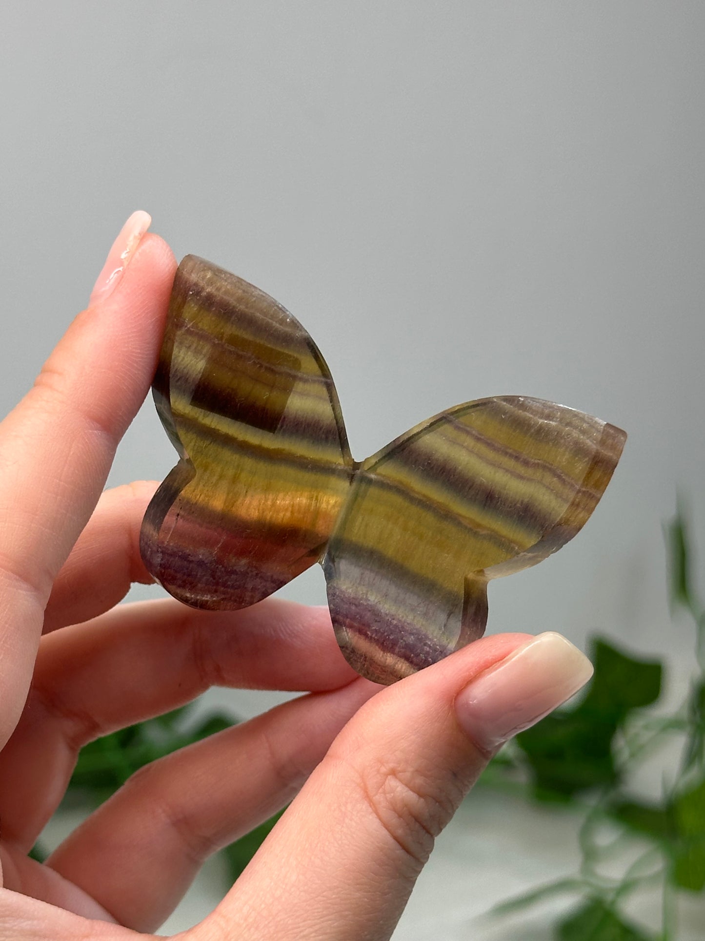 Fluorite Butterfly