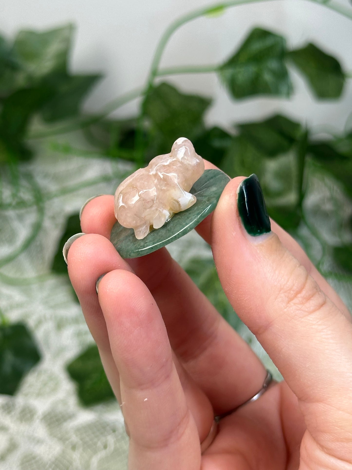 Flower Agate Bugs on Green Aventurine Leaves