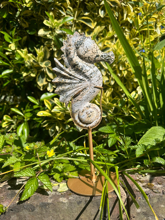 Ocean Jasper Seahorse