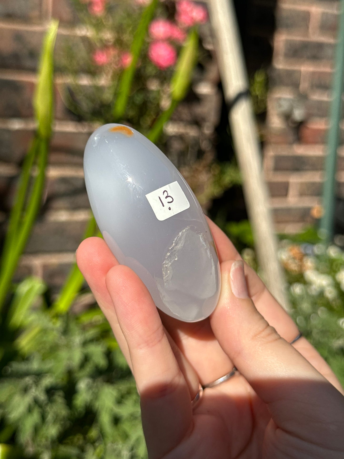 Blue Chalcedony Shivas