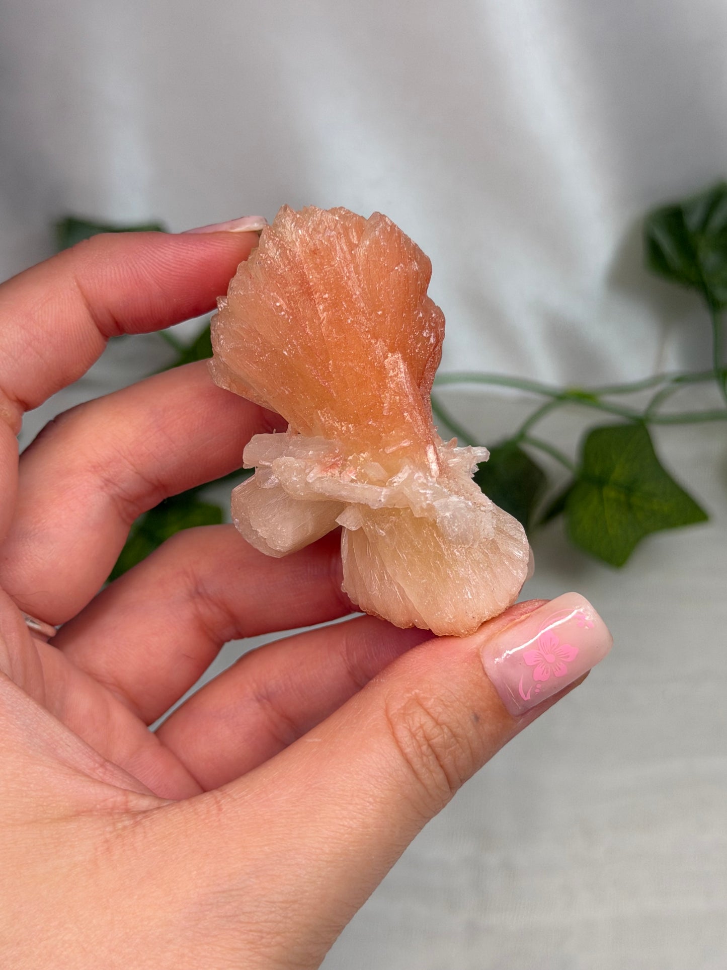 Hematite Coated Peach Stilbite Bows