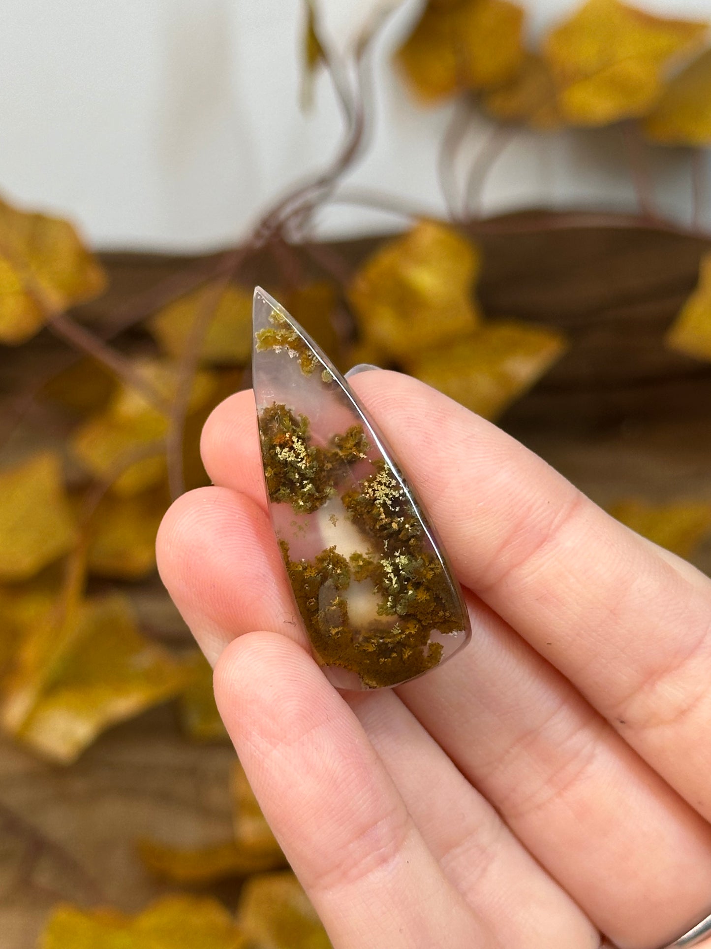 Scenic Moss Agate Cabochons