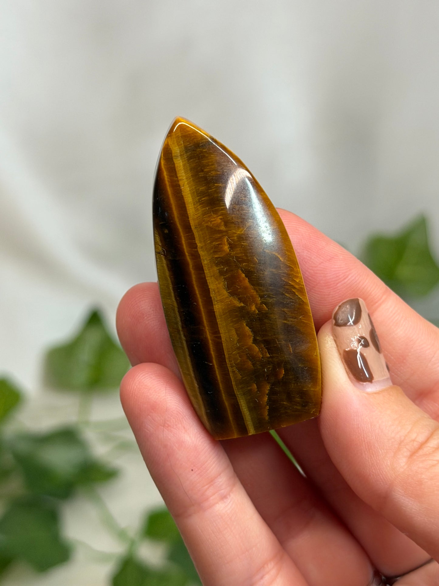 Tiger Eye Teardrops