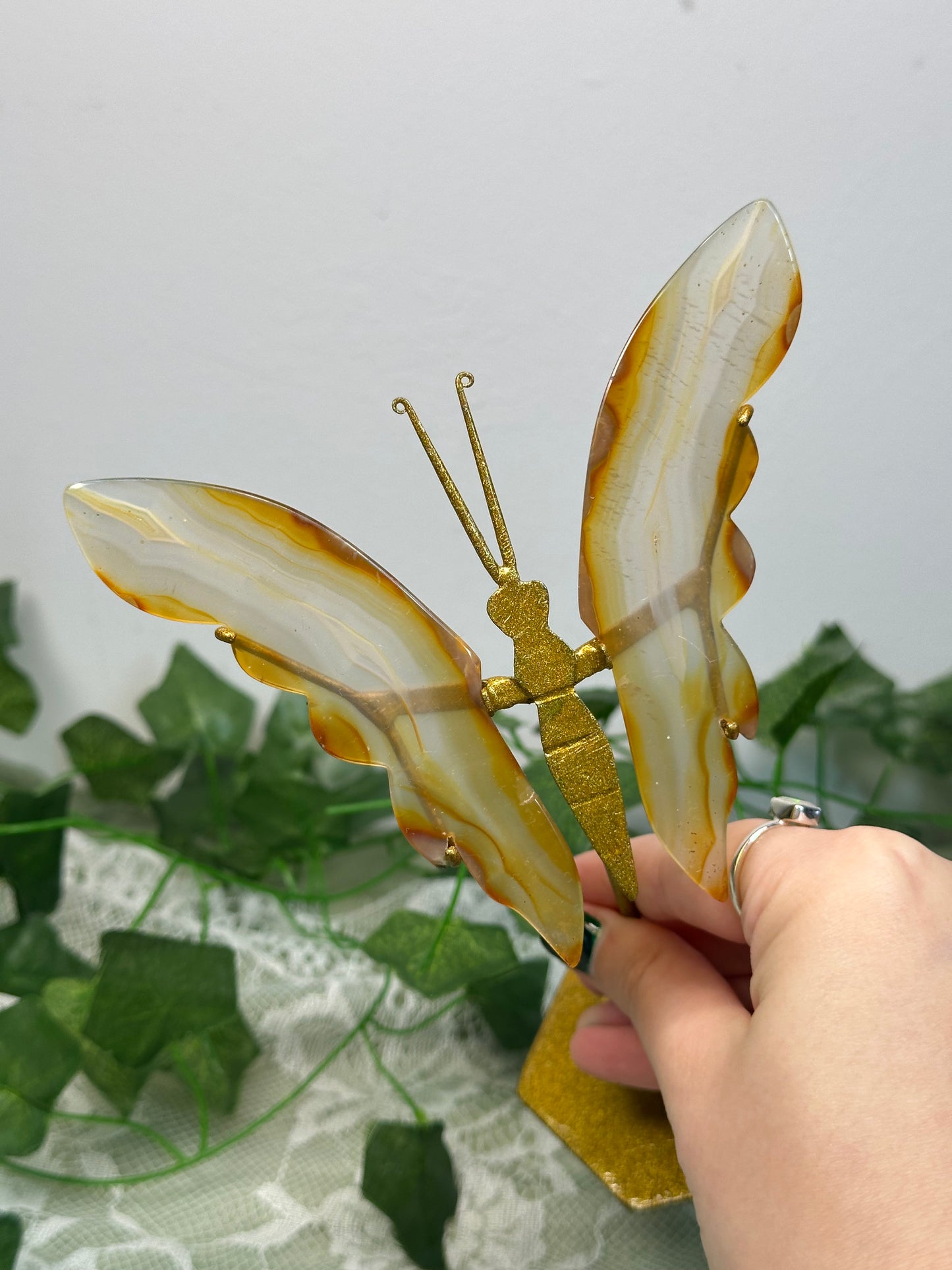 Iris Agate Butterfly D