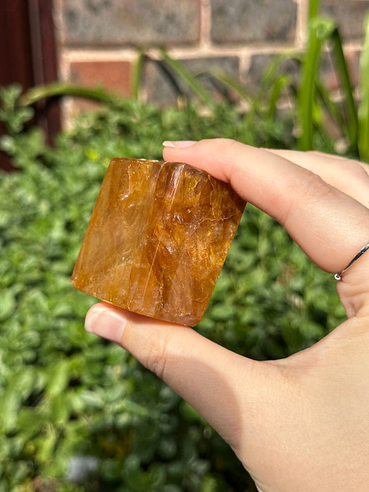 Golden Healer Freeform