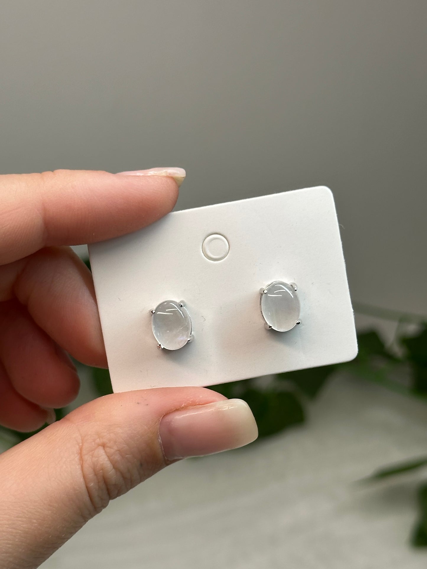 Moonstone Studs (925 Sterling Silver)
