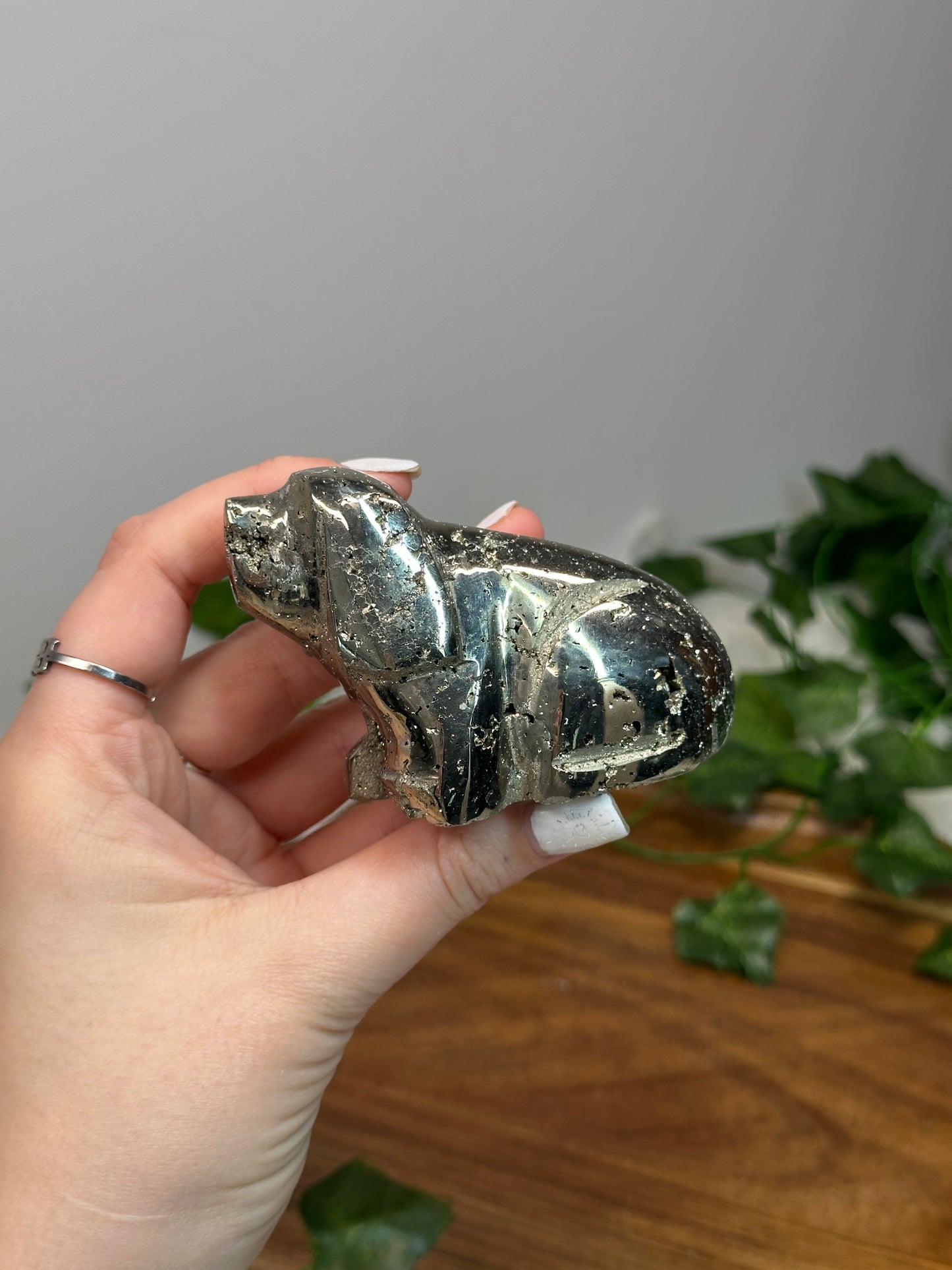 Laying Peruvian Pyrite Dog