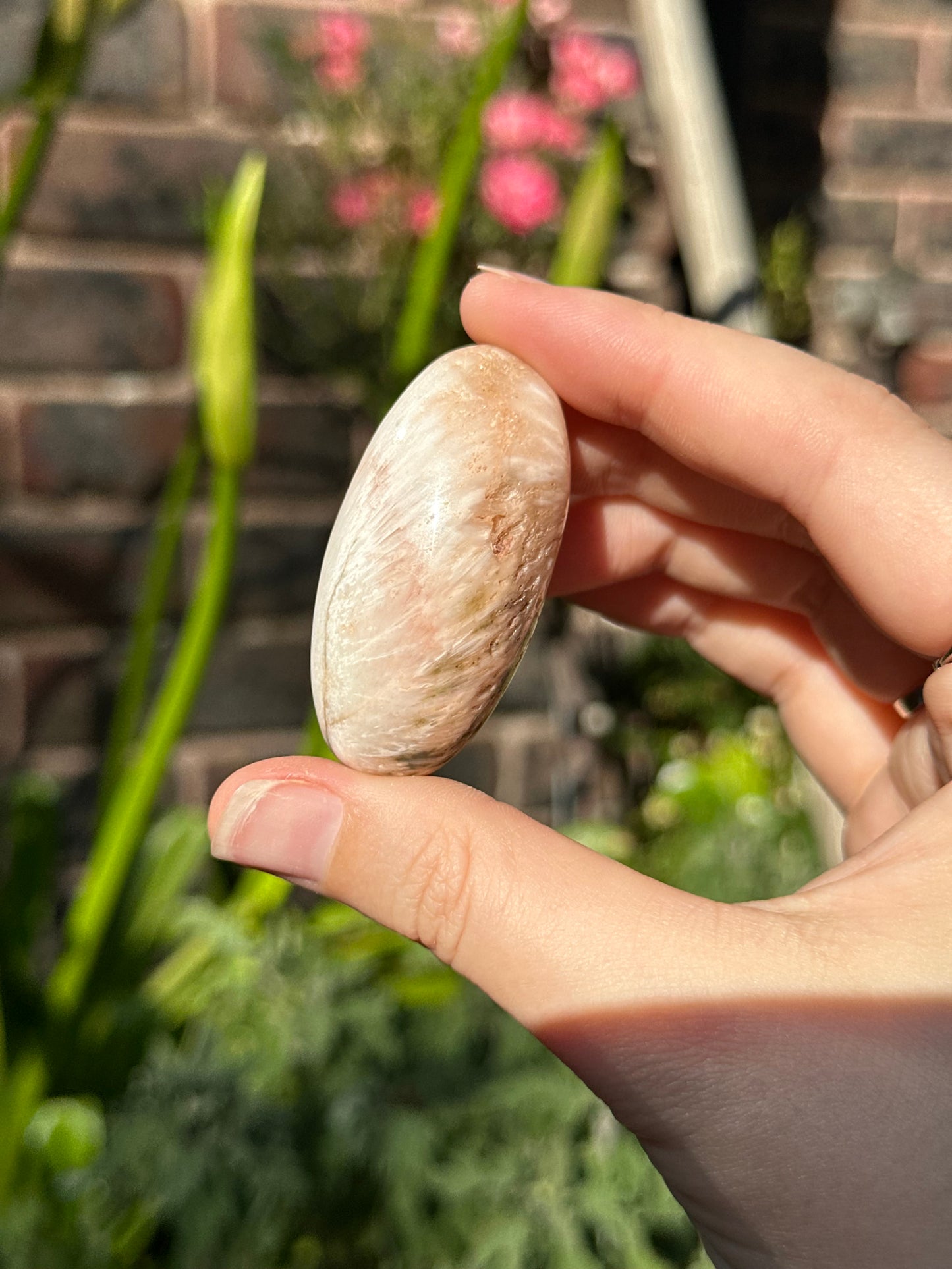 Peach Scolecite Shivas
