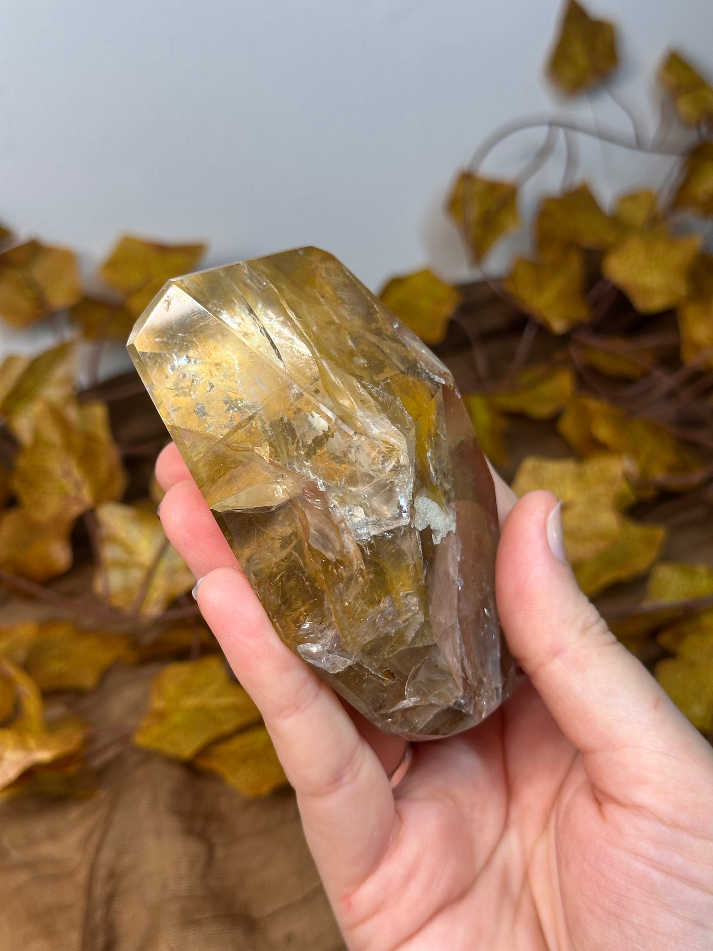 Golden Healer Freeform