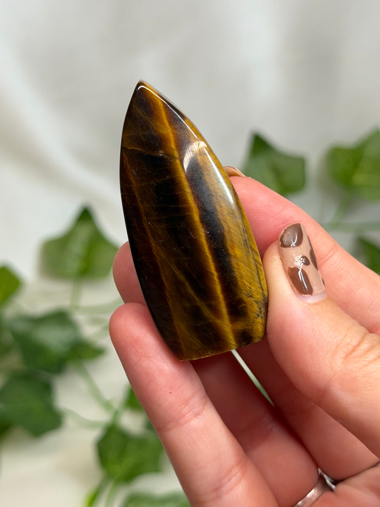 Tiger Eye Teardrops