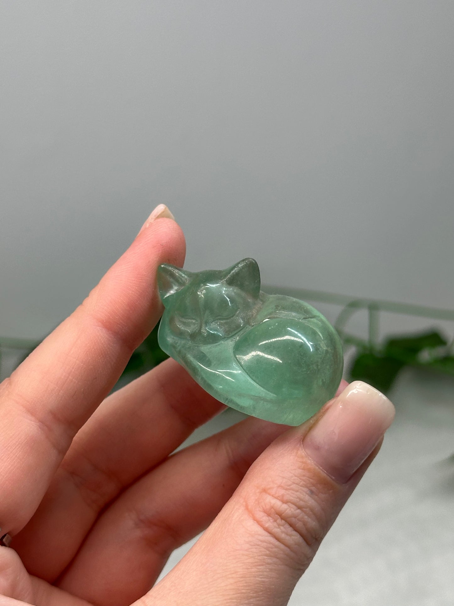 Fluorite Sleeping Cat