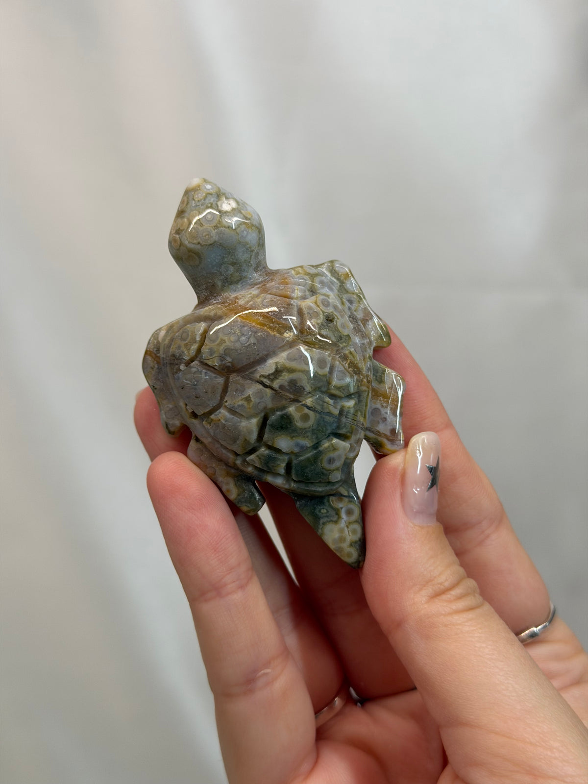Sea Jasper Turtle