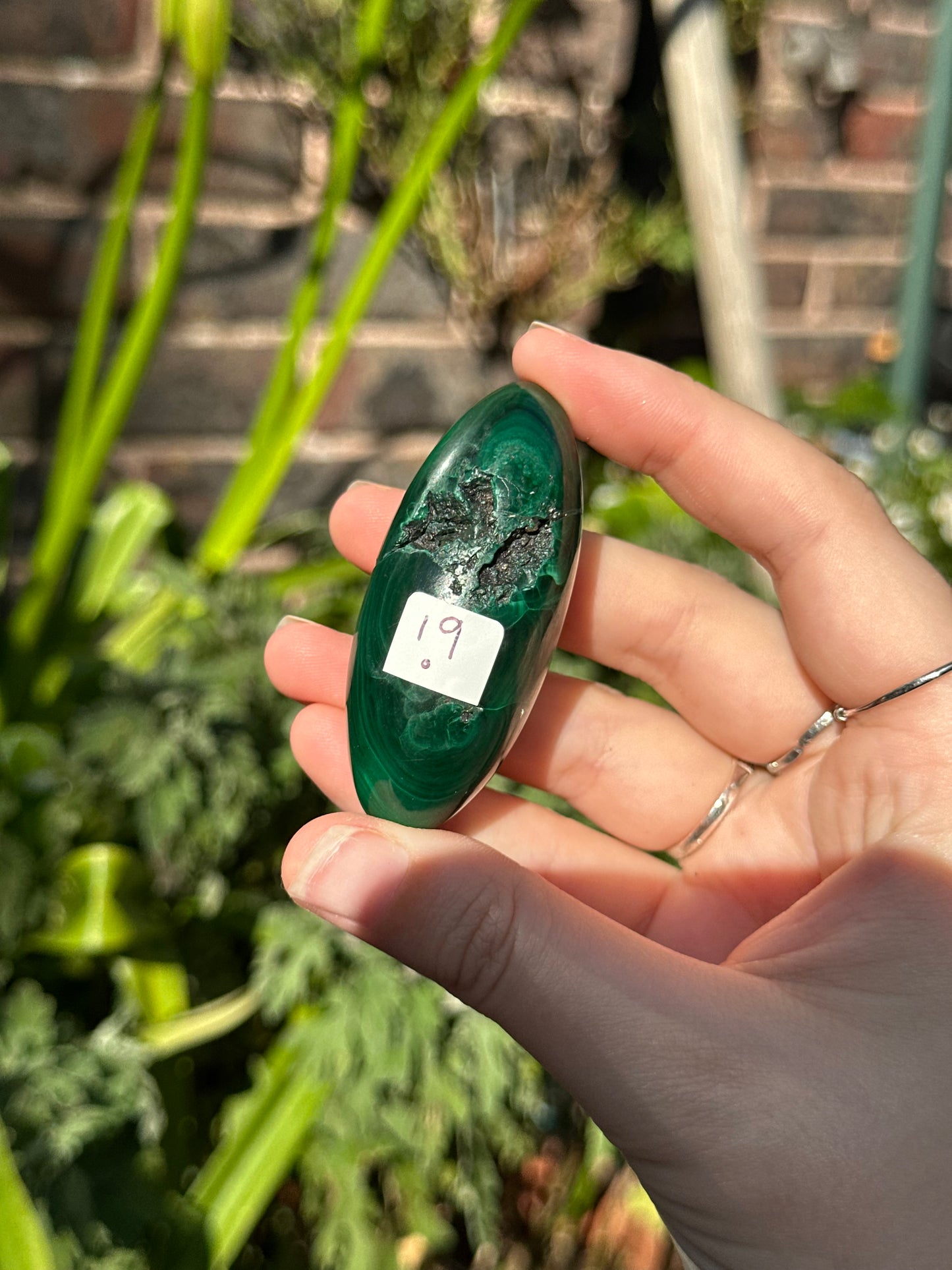 Malachite Shivas