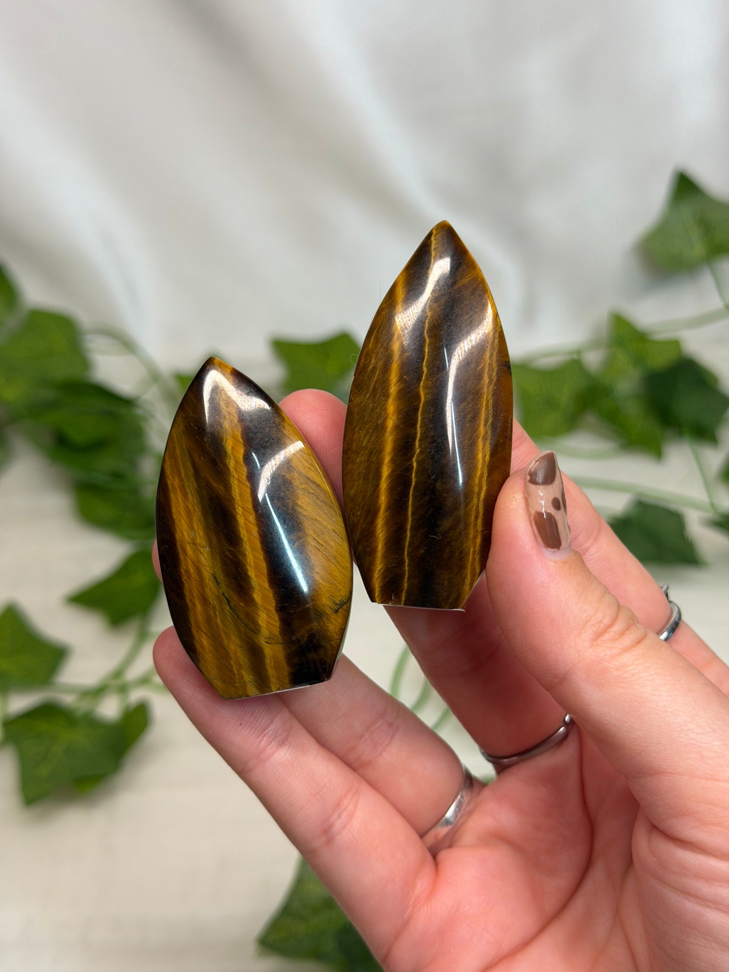 Tiger Eye Teardrops