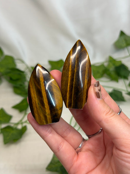 Tiger Eye Teardrops
