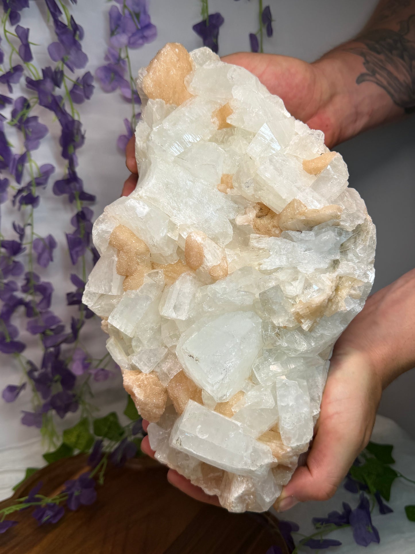 Huge Apophyllite w Peach Stilbite Cluster