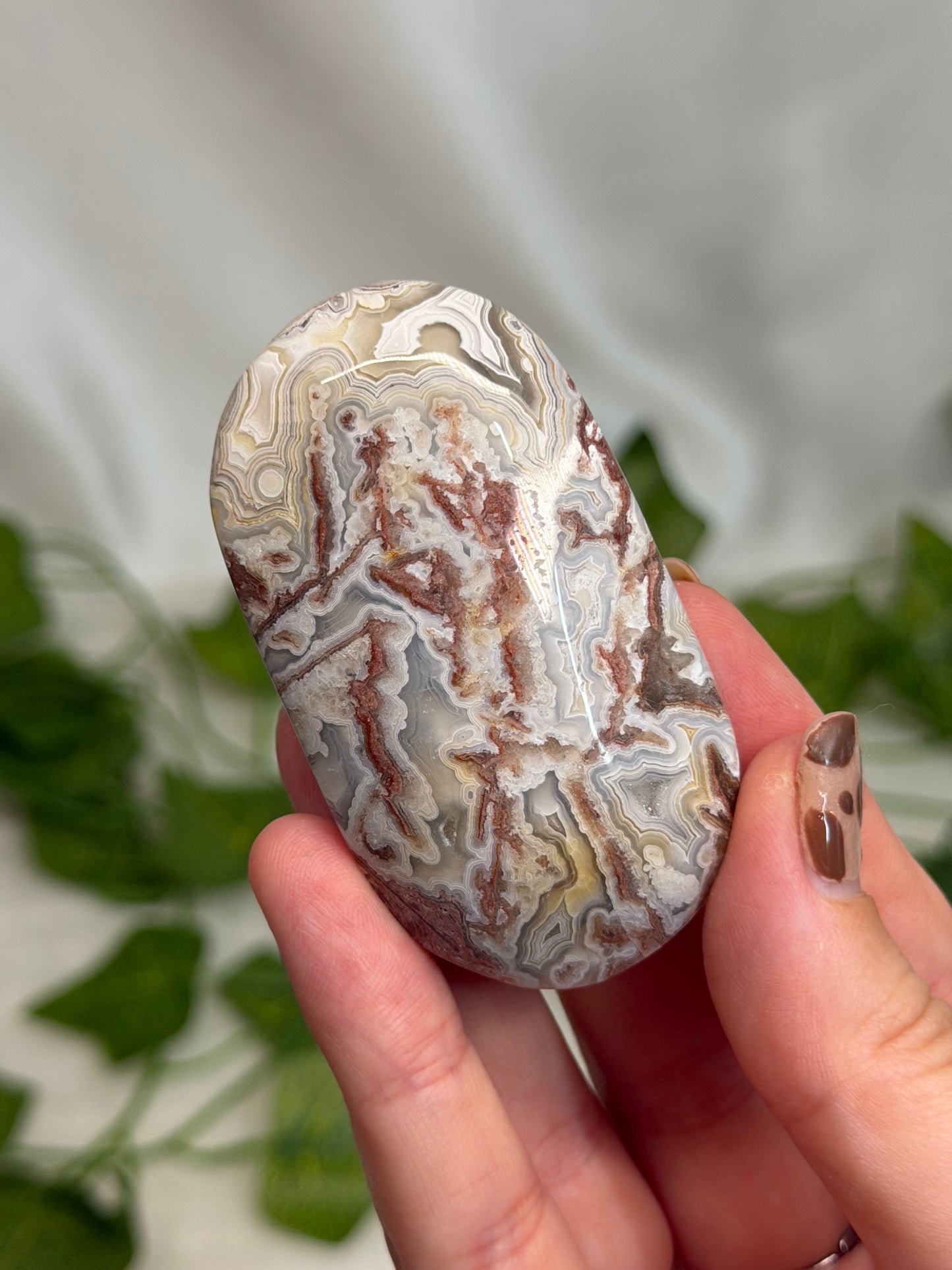 Crazy Lace Agate Palmstone