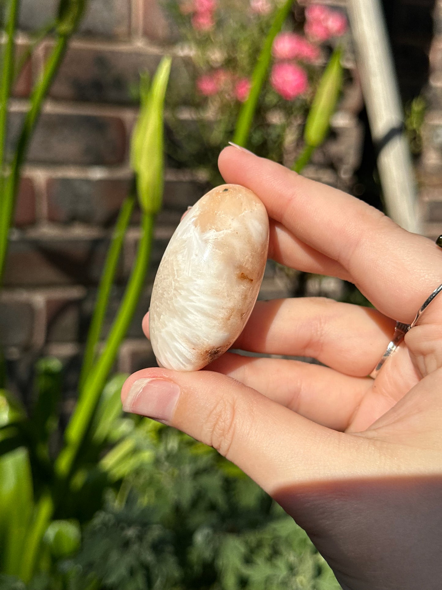 Peach Scolecite Shivas