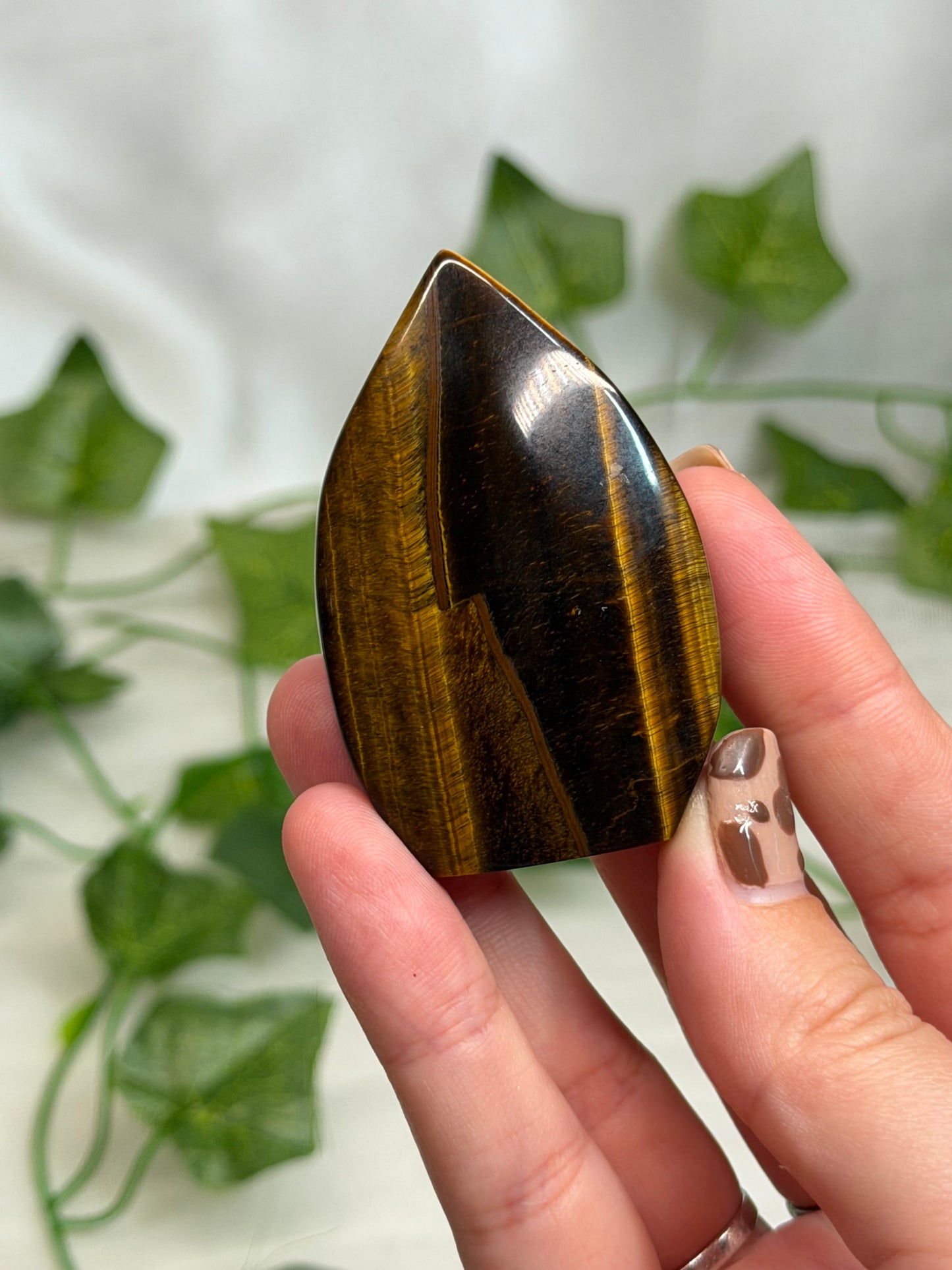 Tiger Eye Teardrops