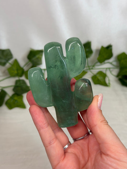 *Imperfect Fluorite Cactus