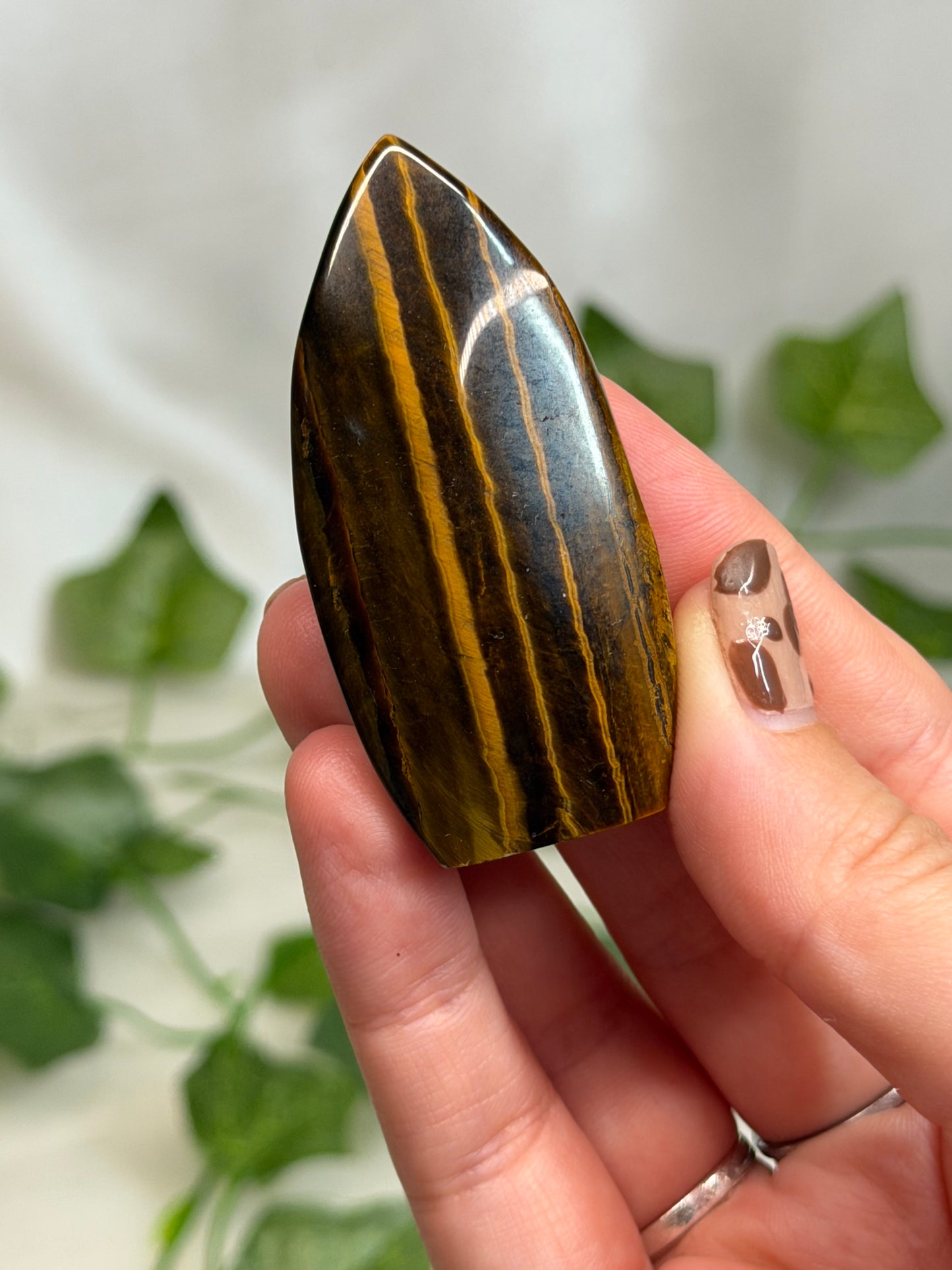 Tiger Eye Teardrops