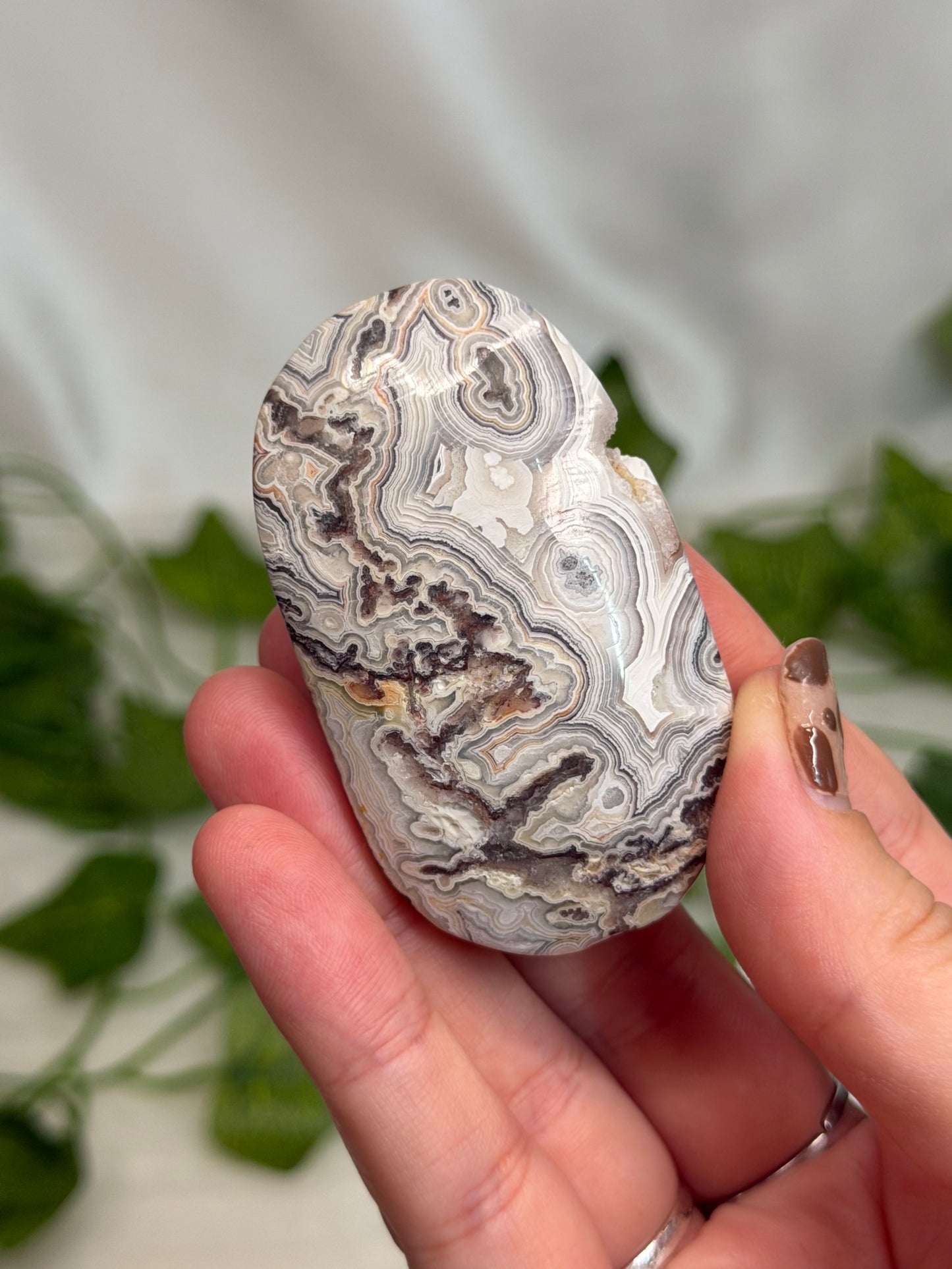 Crazy Lace Agate Palmstone
