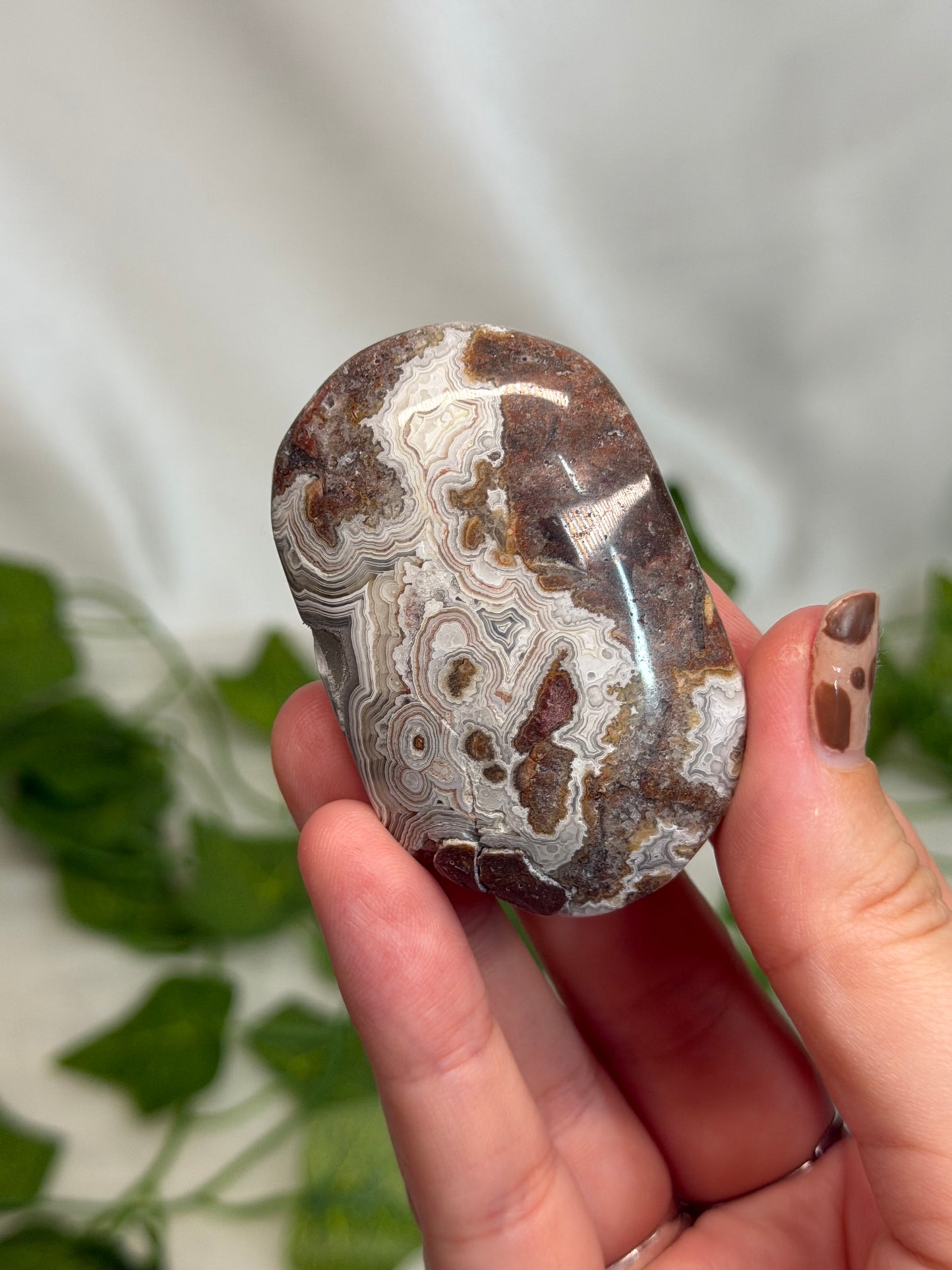 Crazy Lace Agate Palmstone