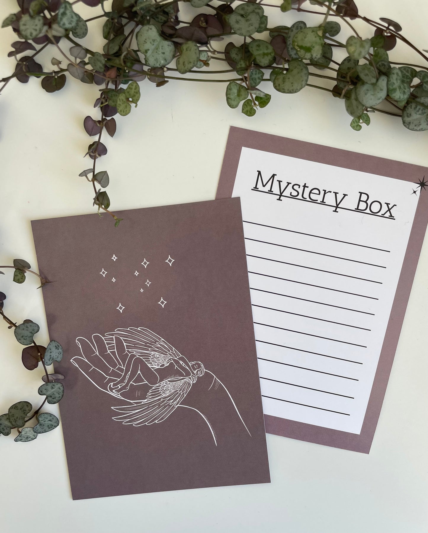 Mystery Box £4.44-£99.99