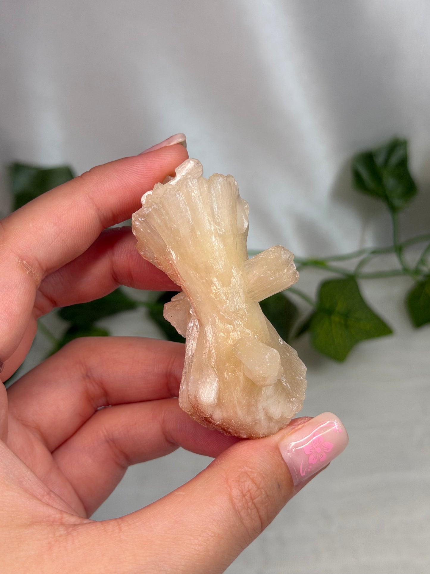 Hematite Coated Peach Stilbite Bows