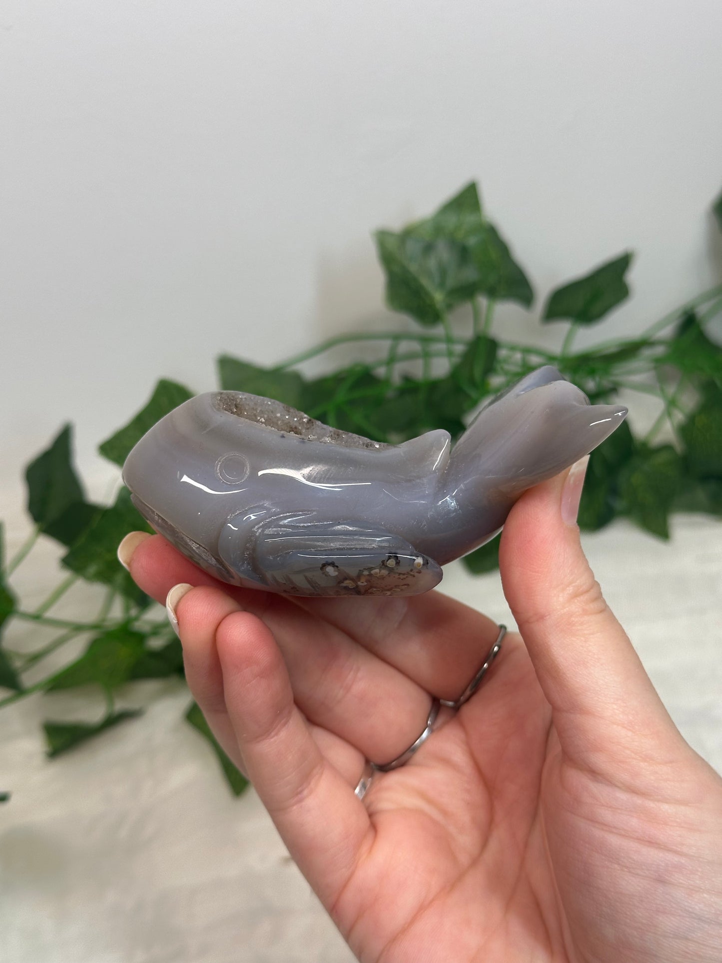 Druzy Agate Whale