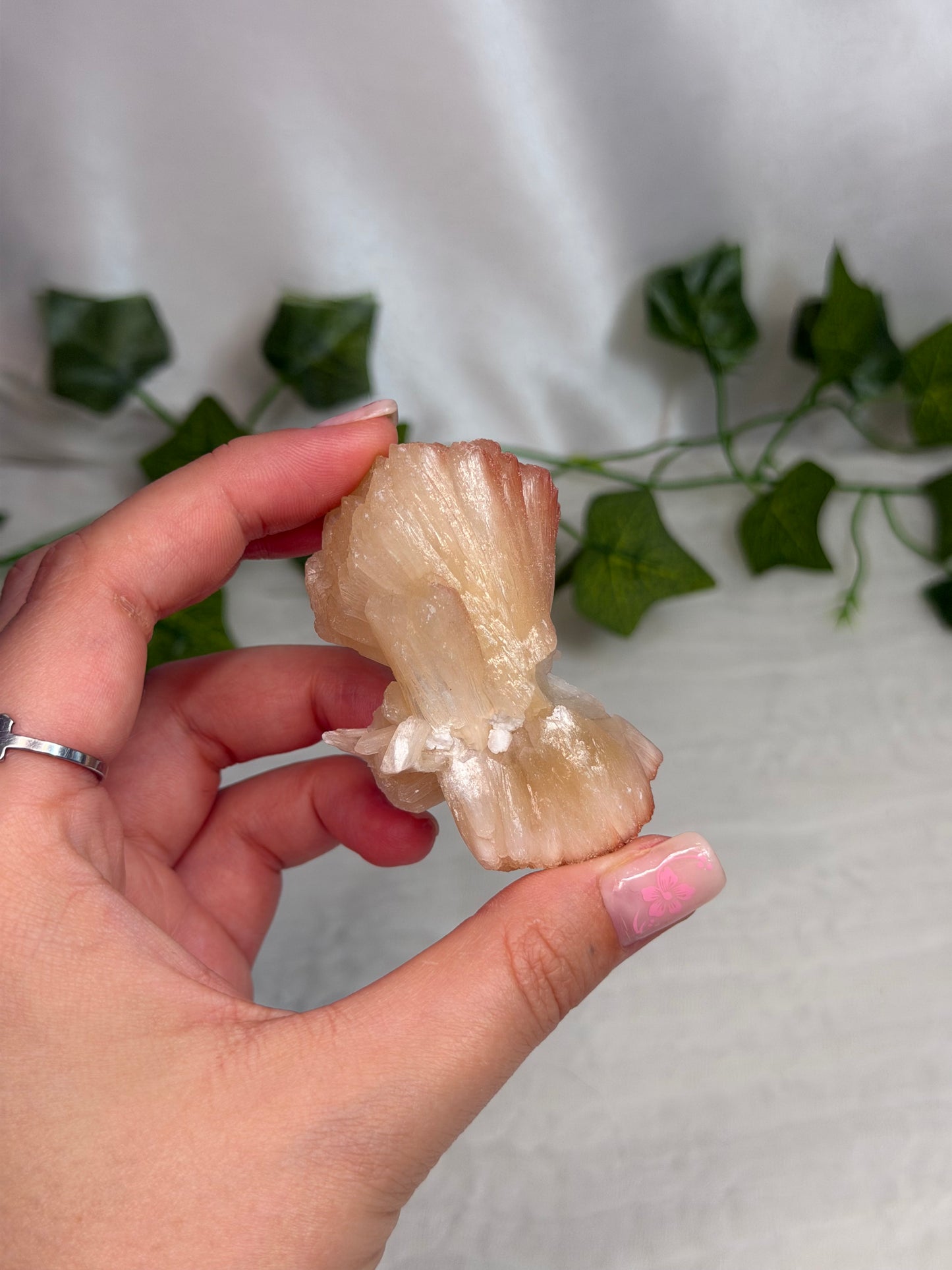 Hematite Coated Peach Stilbite Bows