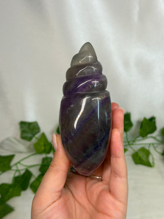 Fluorite Sea Snail