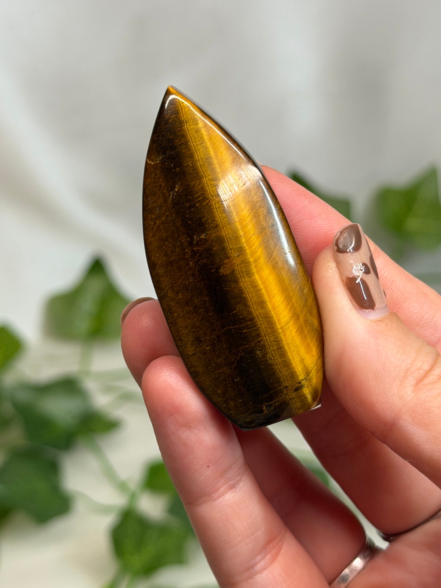 Tiger Eye Teardrops