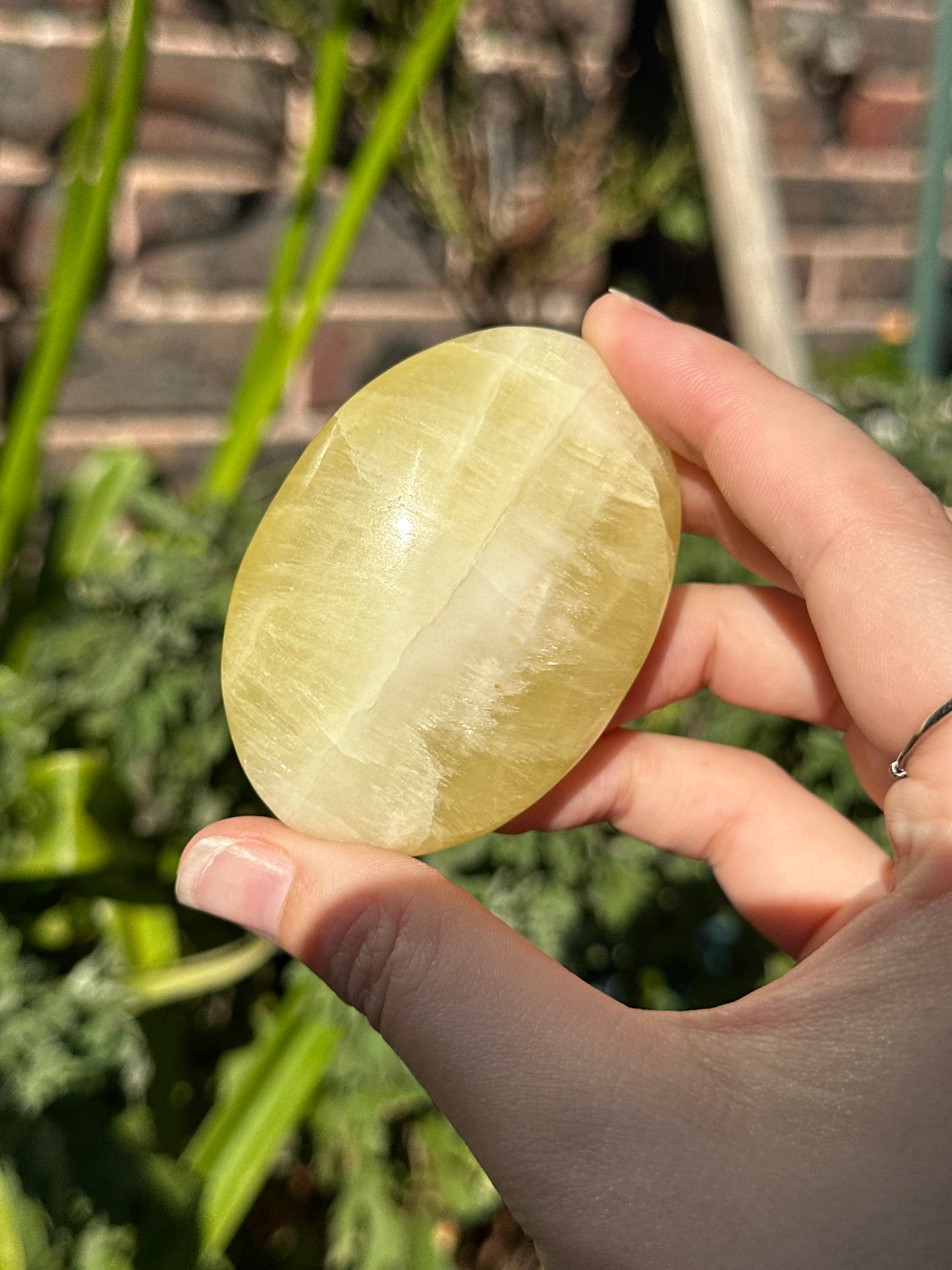 Lemon Calcite Palmstones