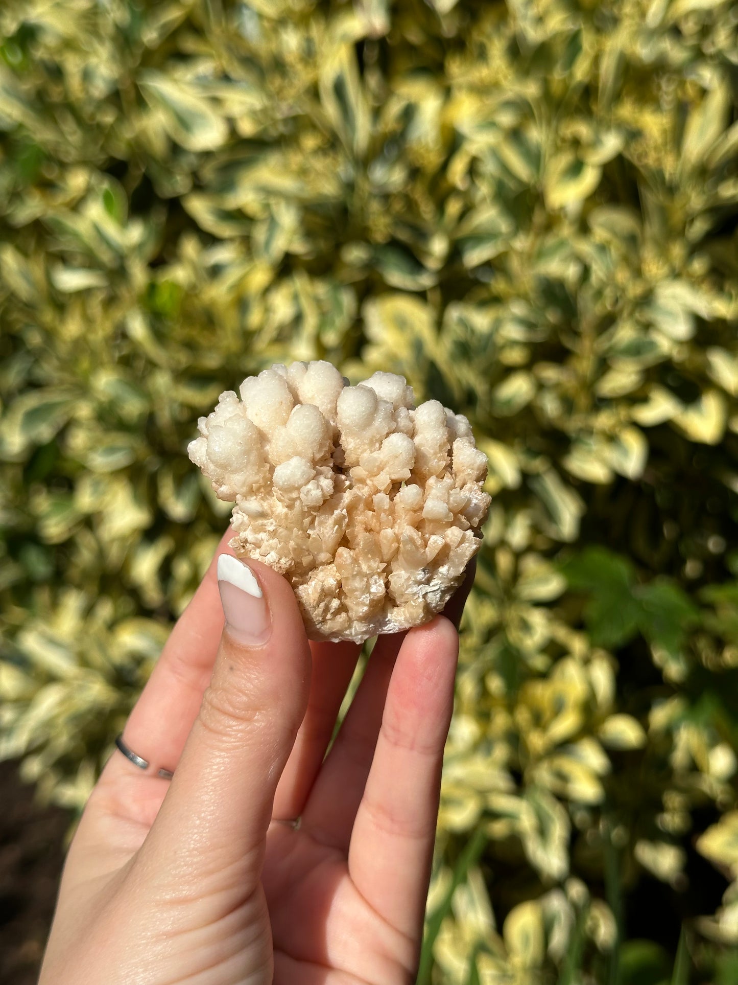 Small Cave Aragonite Specimen