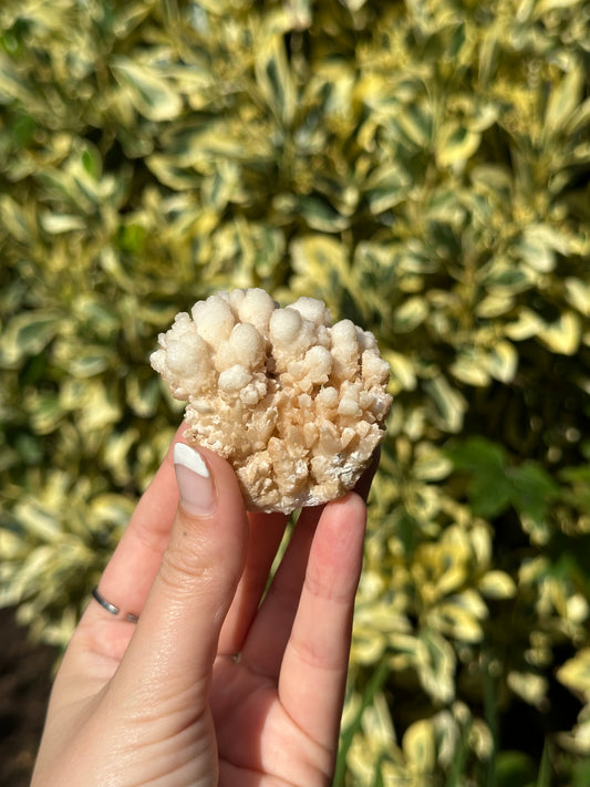 Small Cave Aragonite Specimen