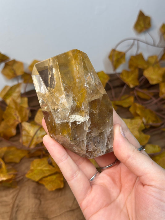 Golden Healer Freeform