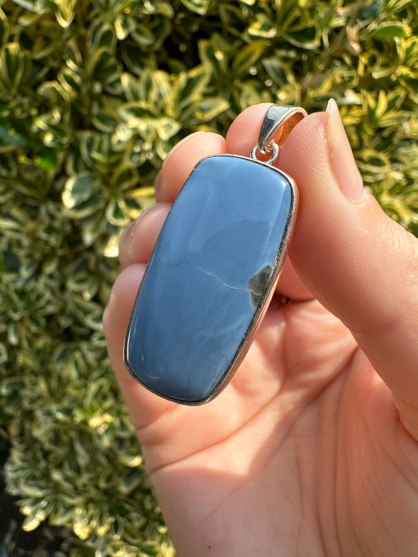 Owyhee Opal Pendant (925 Sterling Silver)