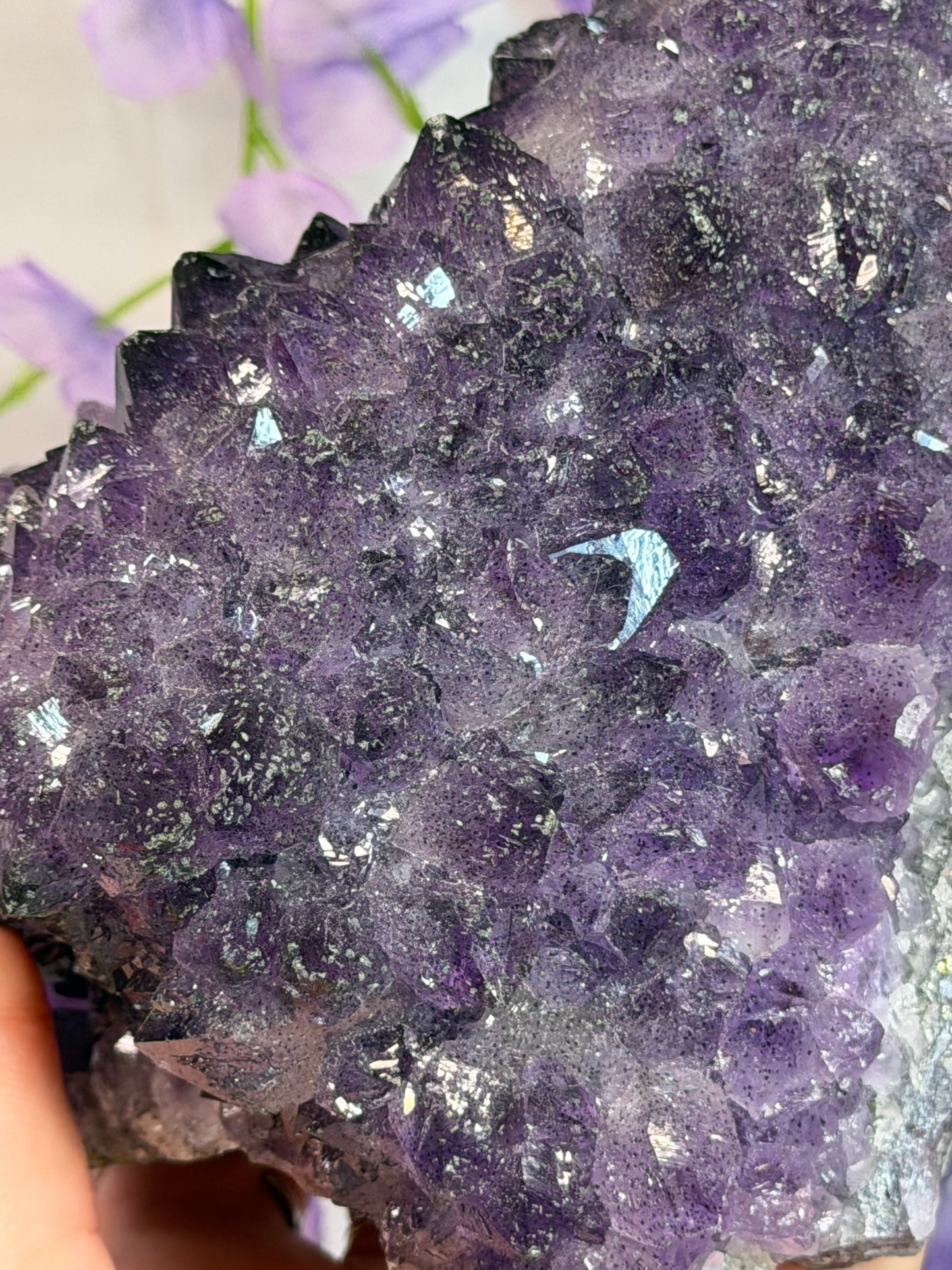 Pyrite Coated Amethyst Cluster