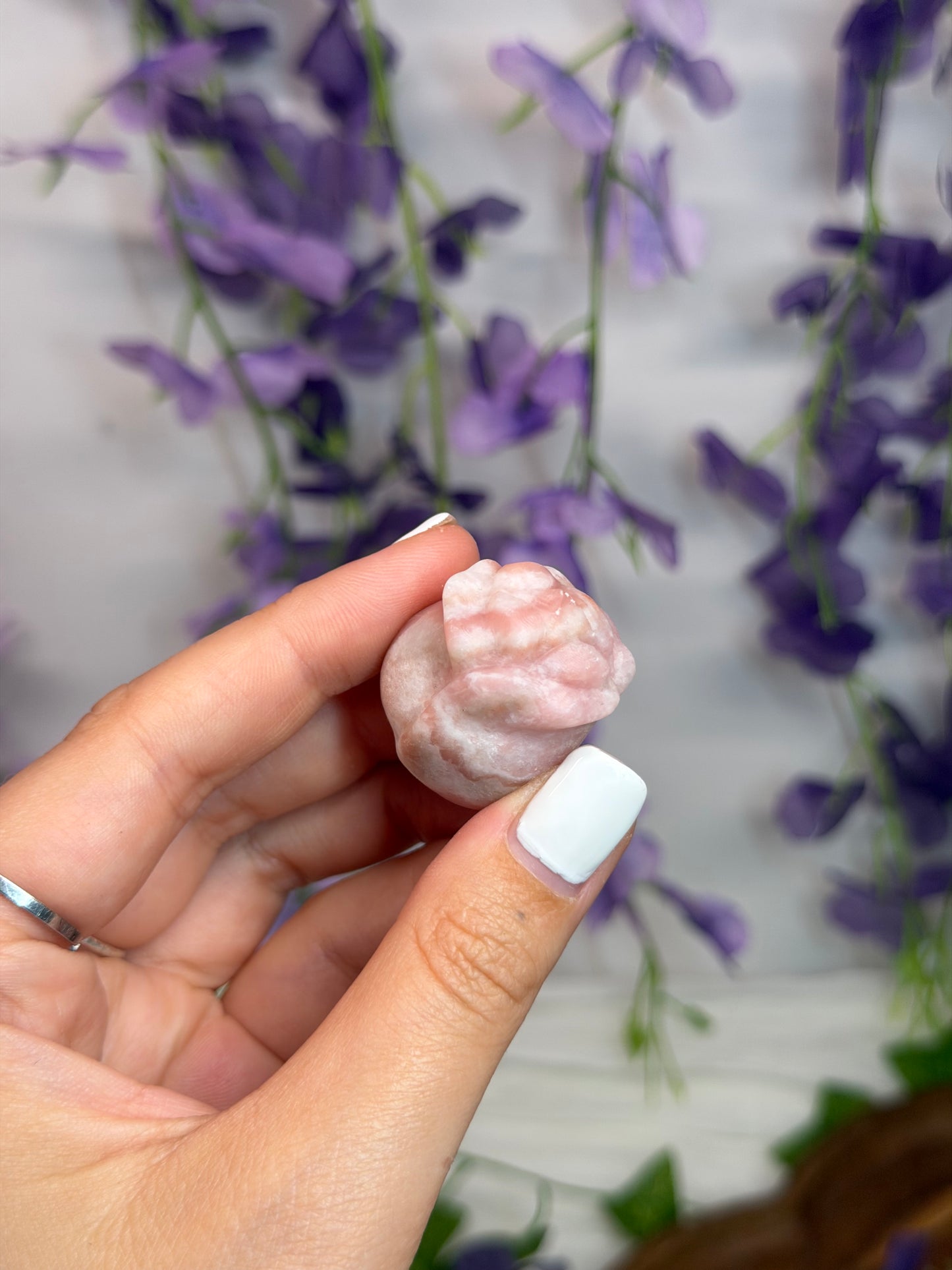 Pink Opal Roses