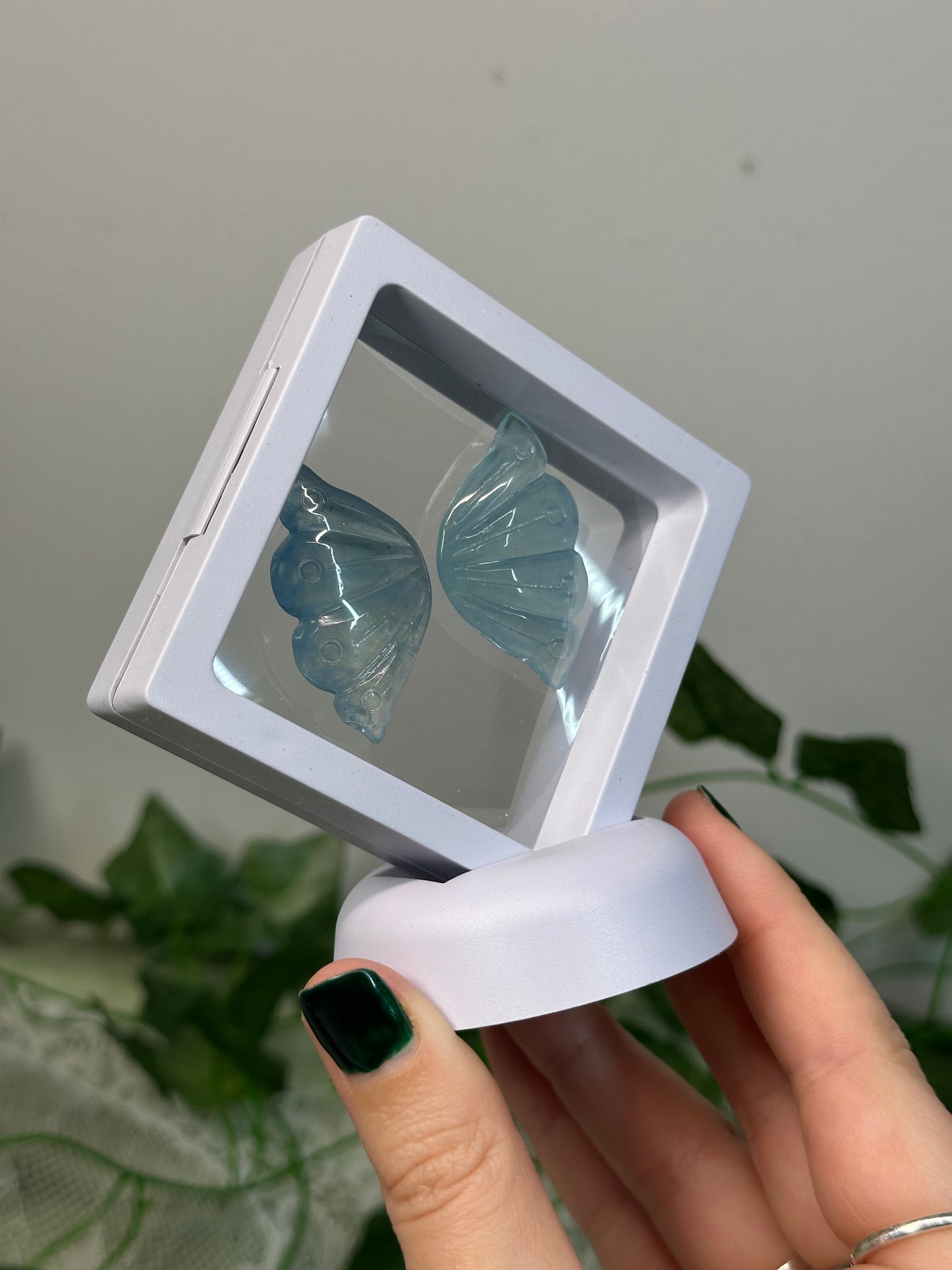 Aquamarine Butterfly Wings