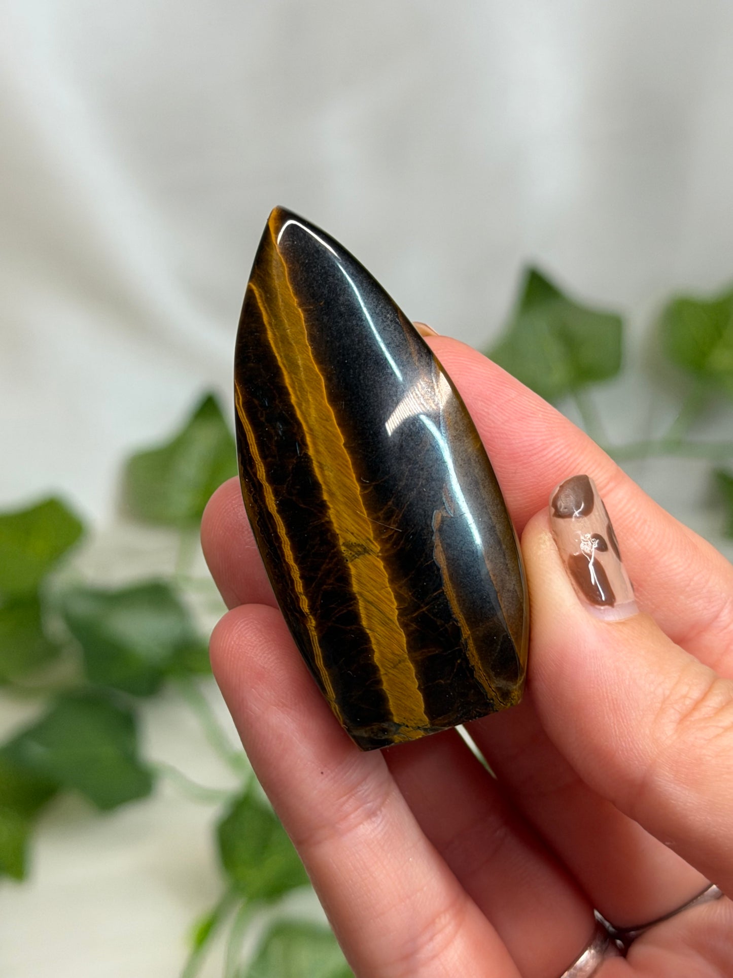 Tiger Eye Teardrops
