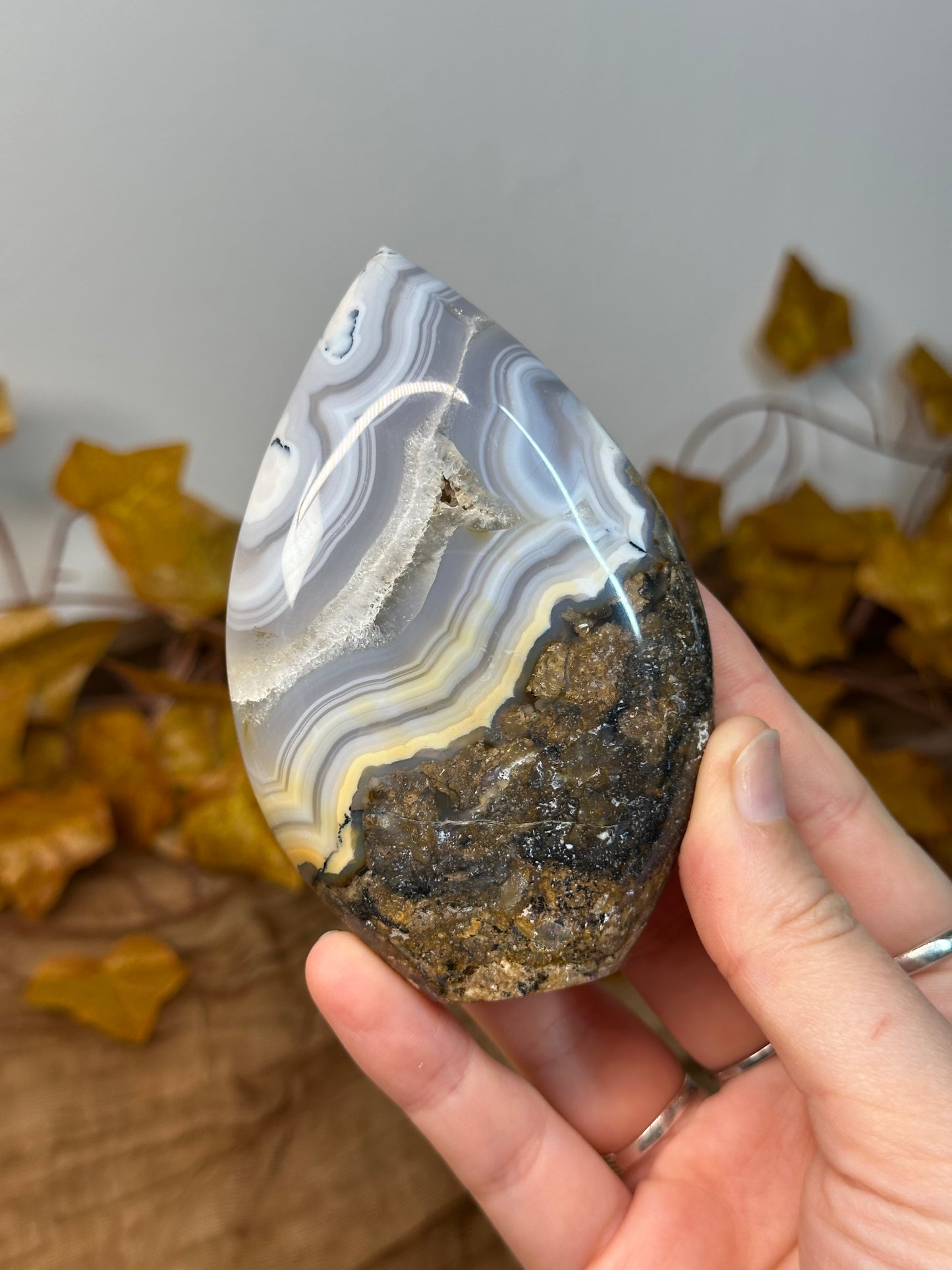 Tiger Agate Shields