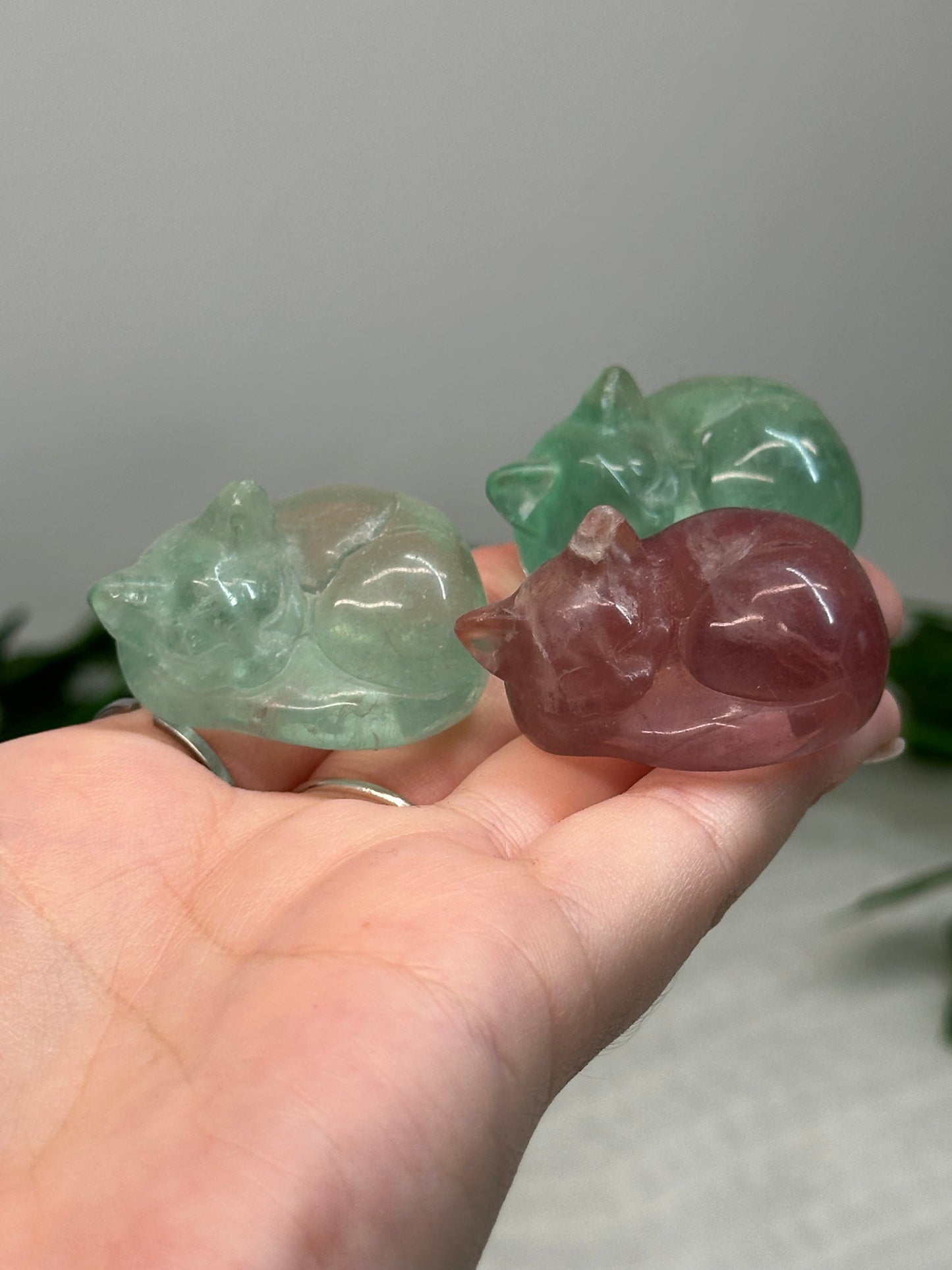 Fluorite Sleeping Cat