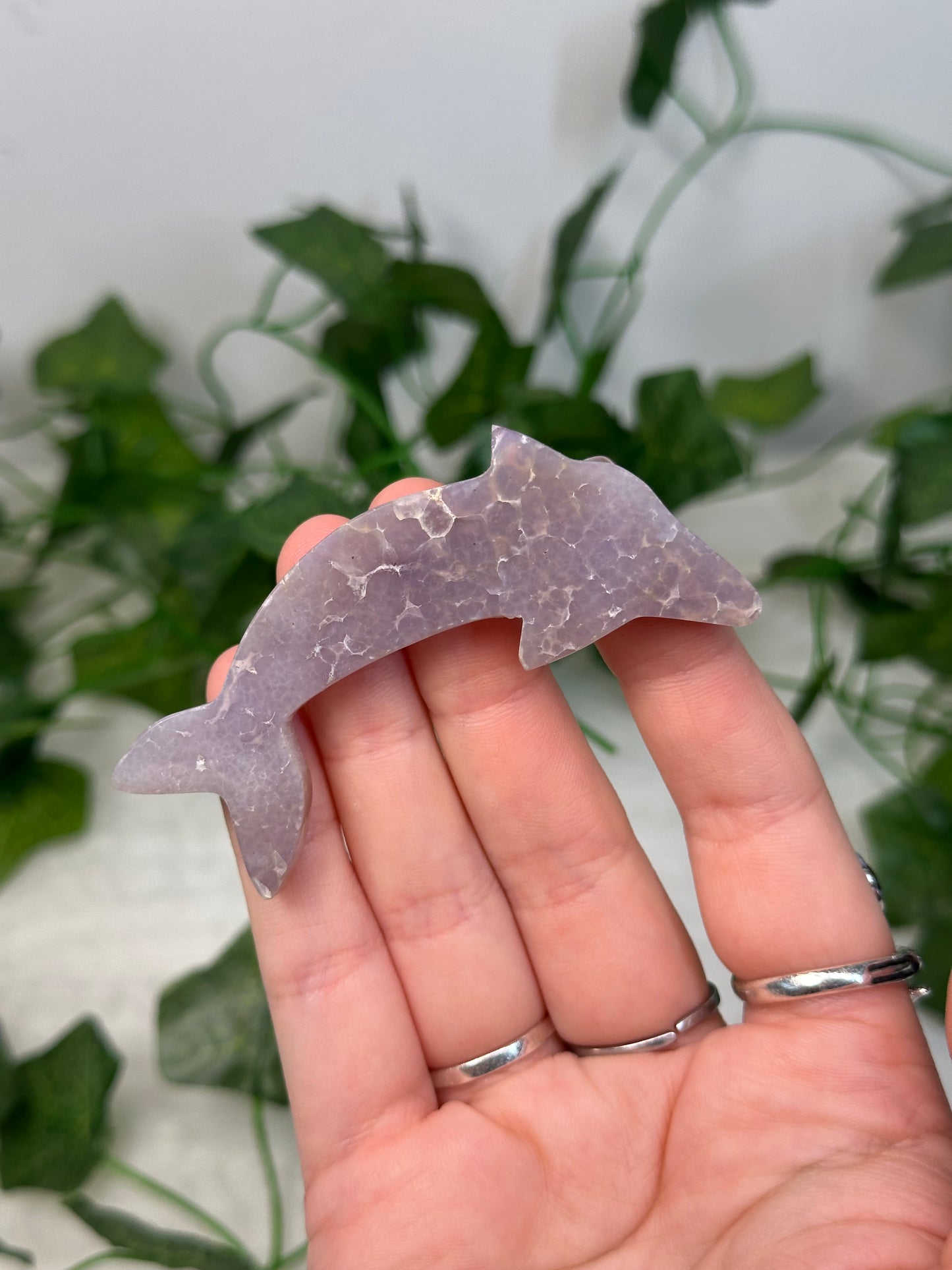 Grape Agate Dolphin