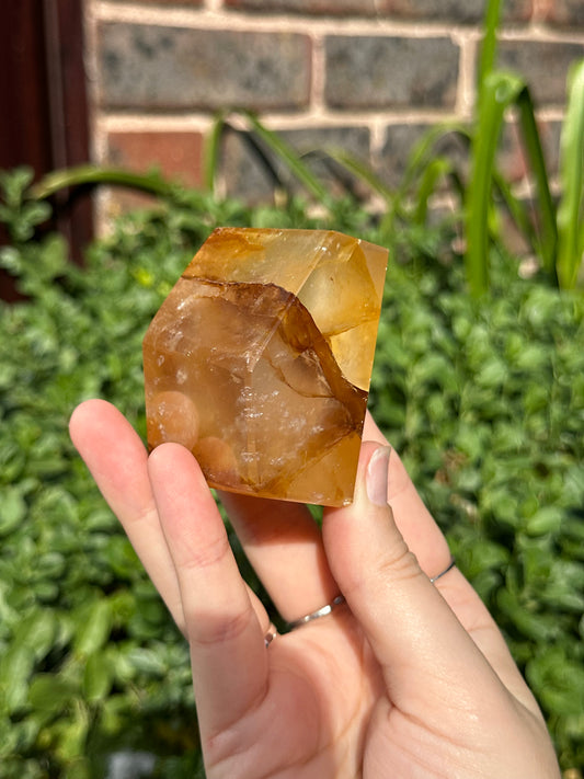 Golden Healer Freeform