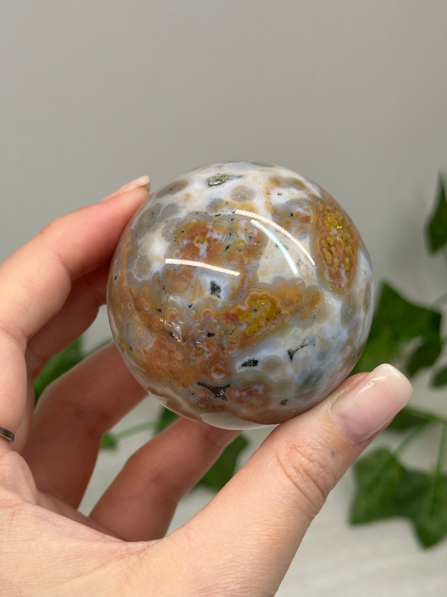 Ocean Jasper Spheres